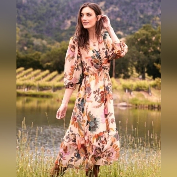 Soft Surroundings Dresses & Skirts - Soft Surroundings maggie floral dress Size XL NWT